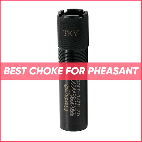 Read more about the article Best Choke For Pheasant 2022