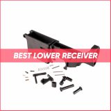 TOP 20 Lower Receiver
