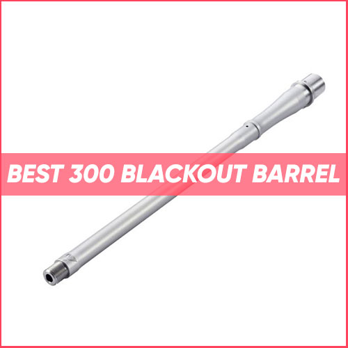 Best 300 Blackout Barrel 2022