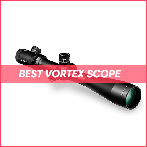 Best Vortex Scope 2024