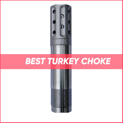 Best Turkey Choke 2024