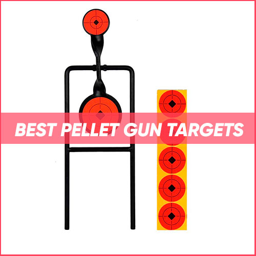 Best Pellet Gun Targets 2022