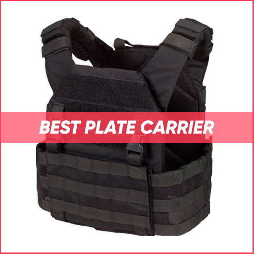 Read more about the article Best Plate Carrier 2024