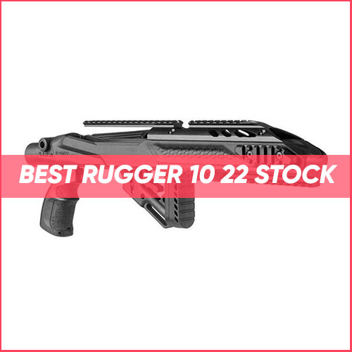 Best Ruger 10 22 Stock 2022