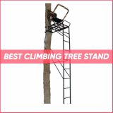 Top 24 Climbing Tree Stand