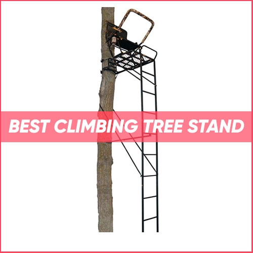 Read more about the article Best Climbing Tree Stand 2023
