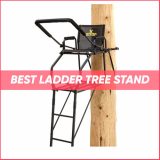 Top 24 Ladder Tree Stand