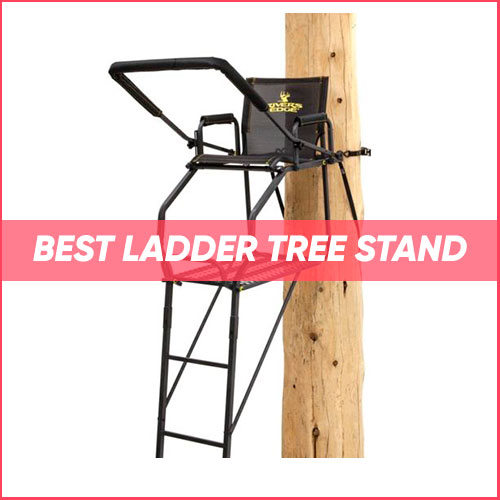Read more about the article Best Ladder Tree Stand 2023