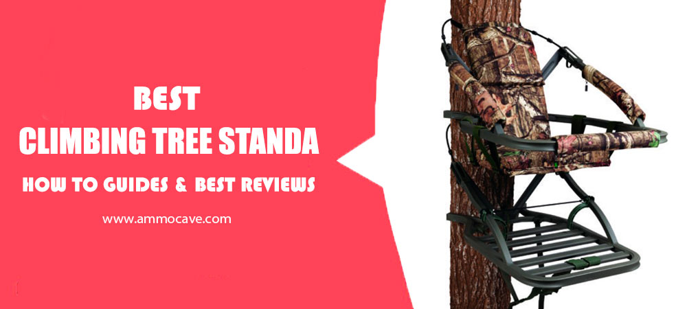 Best Climbing Tree Stand