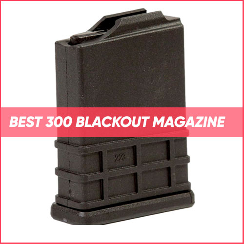 Best 300 Blackout Magazine 2024