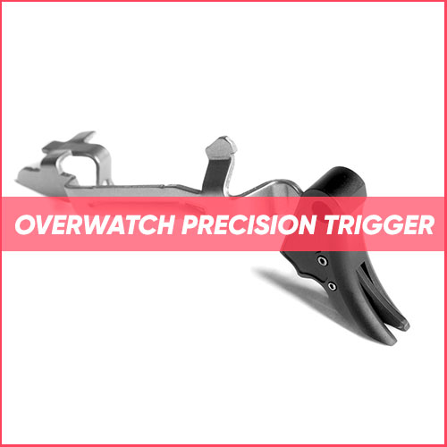 Overwatch Precision Trigger 2023