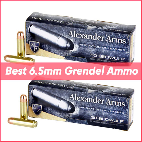 Alexander Arms Loaded Ammunition 50 Beowulf