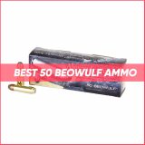 BEST 50 BEOWULF AMMO
