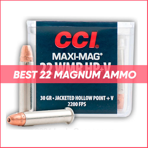 Read more about the article Best 22 Magnum Ammo