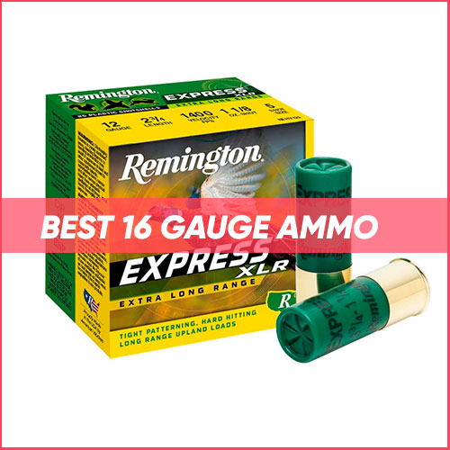 Best 16 Gauge Ammo