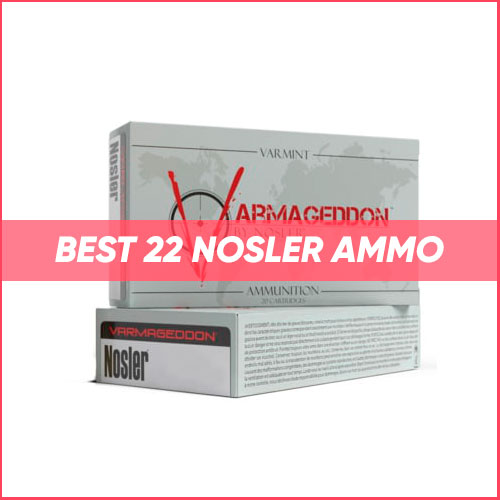 Best 22 Nosler Ammo