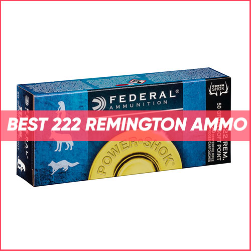 Read more about the article Best 222 Remington Ammo
