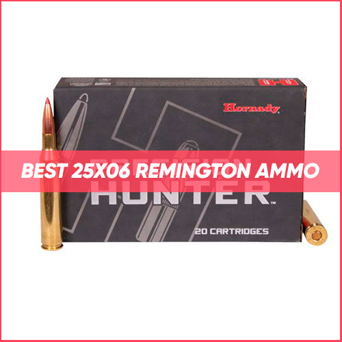 Read more about the article Best 25 06 Remington Ammo