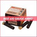 Best 410 Gauge Ammo