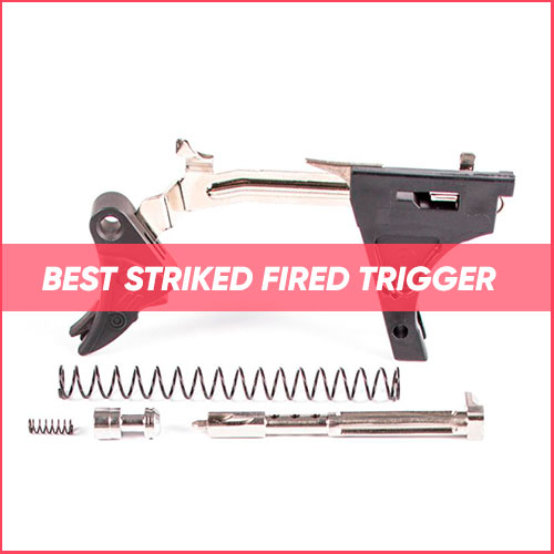 Read more about the article Best Striker Fired Trigger 2024