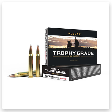 300 Weatherby Magnum - 180 Grain Brass Cased - Nosler