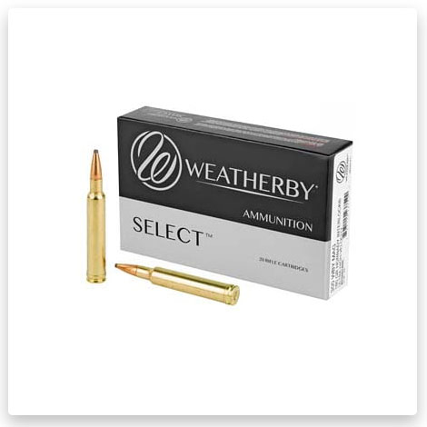 300 Weatherby Magnum - 180 Grain Interlock - Weatherby
