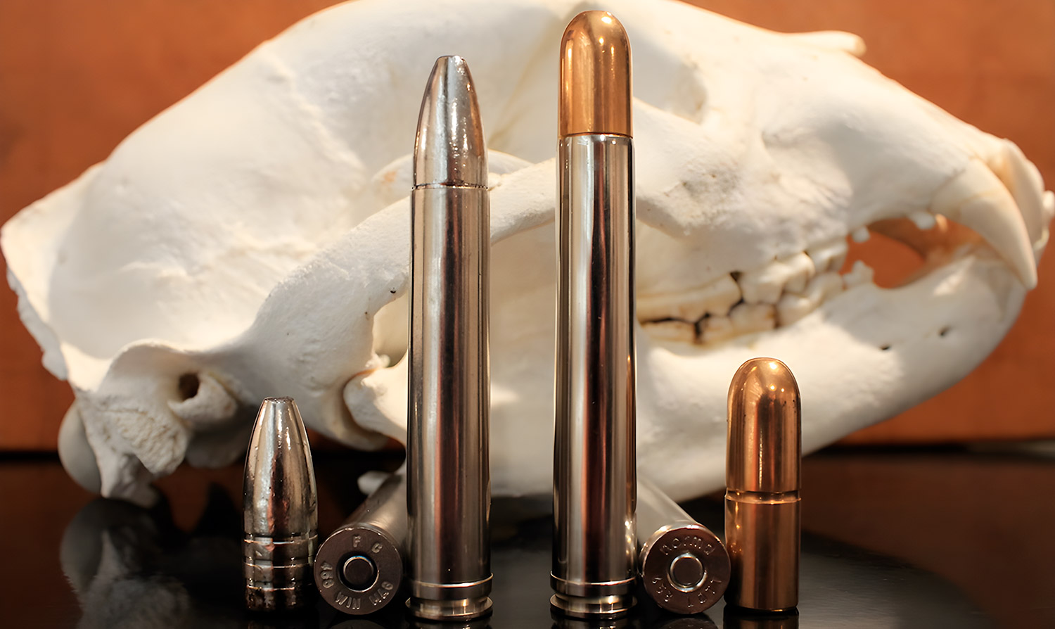 Best 458 Winchester Magnum Ammo