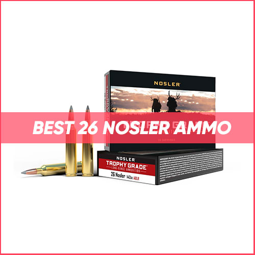 Read more about the article Best 26 Nosler Ammo