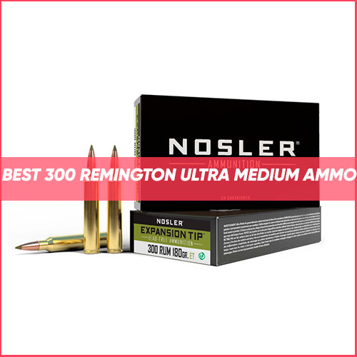 Read more about the article Best 300 Remington Ultra Magnum Ammo