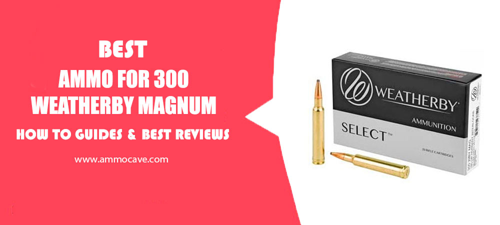 Best 300 Weatherby Magnum Ammo