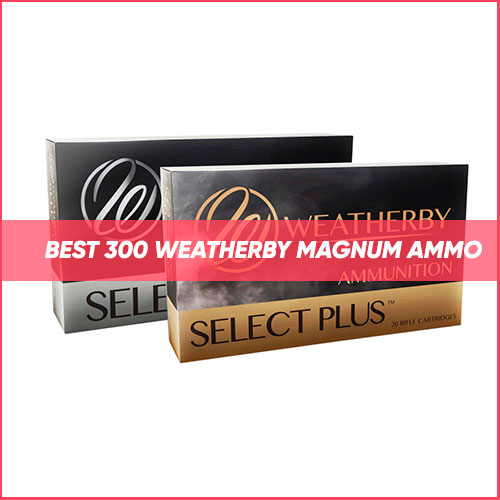Read more about the article Best 300 Weatherby Magnum Ammo