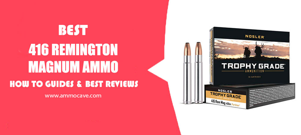Best 416 Remington Magnum Ammo