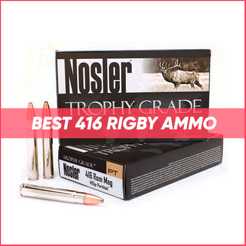 Best 416 Rigby Ammo