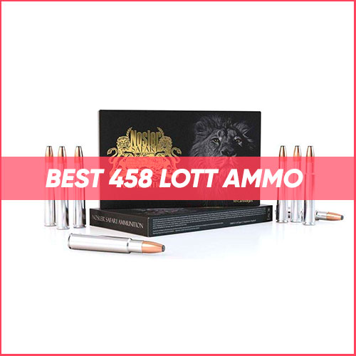 Best 458 Lott Ammo