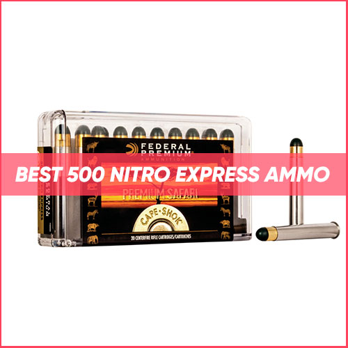 Best 500 Nitro Express Ammo