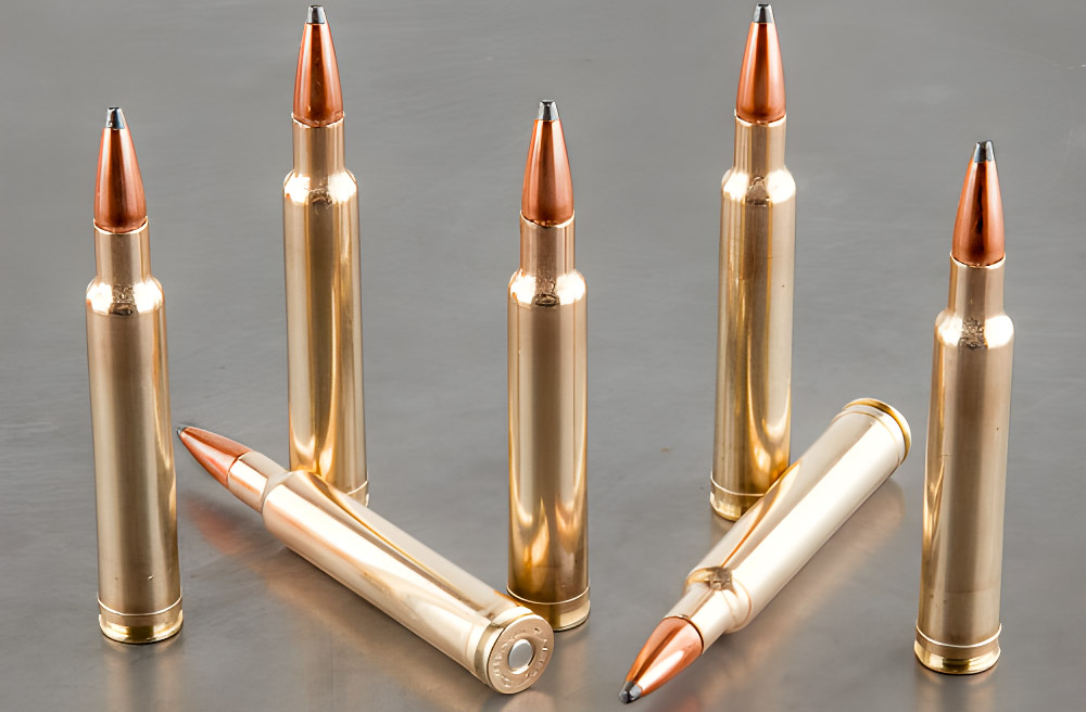 300 Weatherby Magnum Ammo