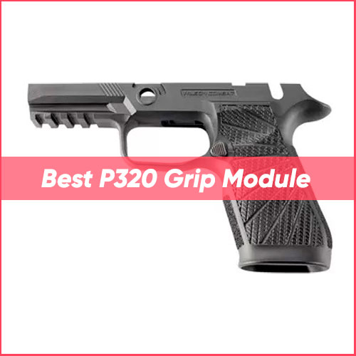 Read more about the article Best P320 Grip Module 2023