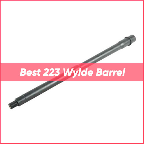 TOP 12 Best 223 Wylde Barrel
