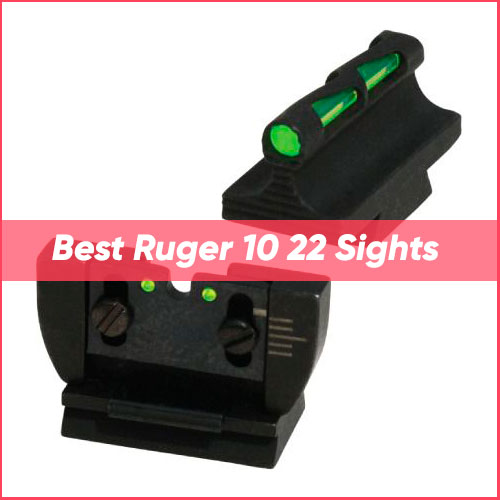 Best Ruger 10 22 Sights 2022