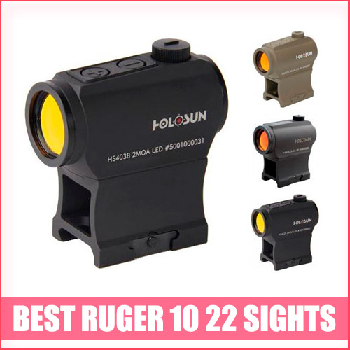 Read more about the article Best Ruger 10 22 Sights